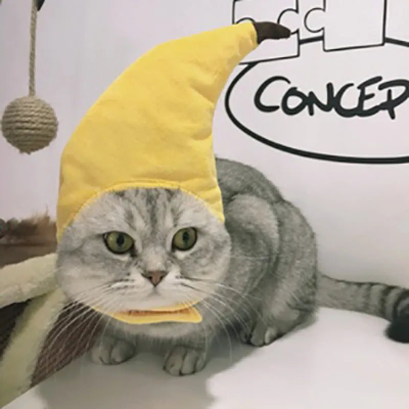 Verspielte Haustierkostüme – Bunte Haaraccessoires für Hunde und Katzen