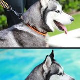 Truelove Reflektor-Hundehalsband – Atmungsaktiv und Verstellbar für Optimalen Komfort