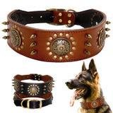 Robustes Lederhalsband mit Nieten und Metallakzenten für große Hunde
