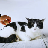 Tierhaarentferner mit Holzgriff – Effektiver Unterwollkamm für Hunde und Katzen