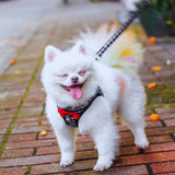 Elegantes Hundegeschirr mit Leine und Schleife – Komfort und Sicherheit für kleine Hunderassen