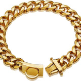 Goldene Hundehalskette