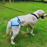 Waschbare Hundewindel für Rüden mit Klettverschluss und Schwanzöffnung" könnte umformuliert werden als:

"Waschbare Hundewindel für Rüden mit verstellbarem Klettverschluss und praktischer Schwanzöffnung