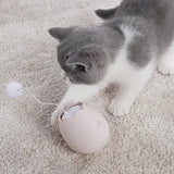 Interaktives Katzenspielzeug in Eiform – Spielzeug mit beweglichem Ball für Katzen" 

Here are a few alternative suggestions:

1. "Eiformiges Interaktives Katzenspielzeug – Mit Beweglichem Ball für Katzen"
2. "Katzenspielzeug in Eiform – Interaktive Spiel
