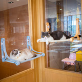Katzenfensterbank mit Saugnäpfen – Gemütlicher Schlaf- und Ruheplatz für Ihre Katze