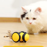Fernbedienbares Katzenspielzeug