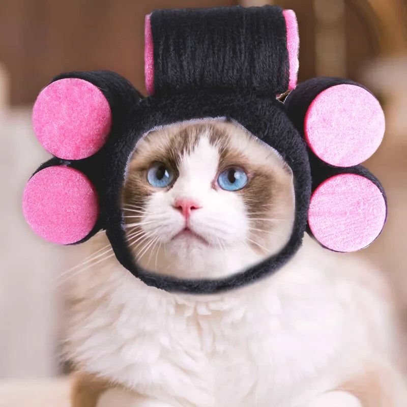 Verspielte Haustierkostüme – Bunte Haaraccessoires für Hunde und Katzen