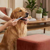 Zahnpflege-Stift für Tiere