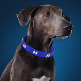 "Hundehalsband mit Knochen-Nieten für kleine und mittelgroße Hunde" könnte umformuliert werden zu: "Knochen-Nieten Hundehalsband für kleine und mittelgroße Hunde".