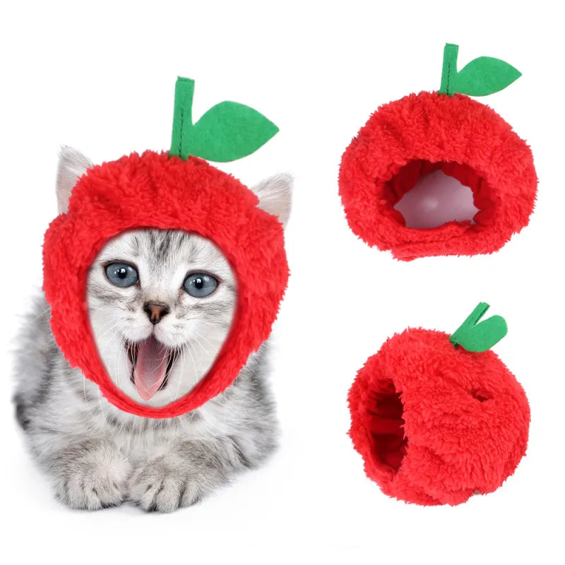 Verspielte Haustierkostüme – Bunte Haaraccessoires für Hunde und Katzen