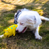 Quirky Quack Piglet - Dog Toy
