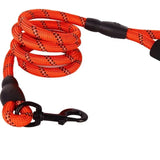 Verstellbare Nylon-Hundeleine mit gepolstertem Griff – Robustes, rutschfestes Design