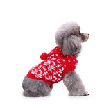 Festlicher Hundepullover mit Schneeflocken-Design