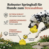 Robuster Stressabbau-Springball für Hunde