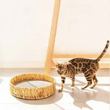 Weidenkorb Katzenbett – Natürliche Schlafmatte für Katzen und kleine Hunde