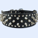Stachelhalsband für Mittelgroße und Große Hunde im Punk-Stil mit Nieten