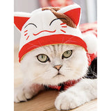 Verspielte Haustierkostüme – Bunte Haaraccessoires für Hunde und Katzen