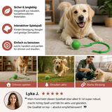 Interaktiver Spielball mit Schwanz für Hunde – Spaß und Bewegung garantiert!