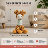 Robustes Plüsch-Hundespielzeug mit Seil, Quietscher und Zahnreinigungsfunktion