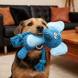 Plüsch-Hundespielzeug mit Baumwollseil – Quietscher und Zahnreinigung