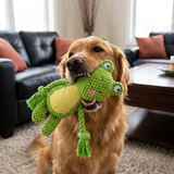 Plüsch-Hundespielzeug mit Baumwollseil – Quietscher und Zahnreinigung
