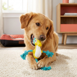 Robustes, schwimmfähiges Hundespielzeug aus Dental-Latex mit Seil