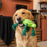 Robustes, schwimmfähiges Hundespielzeug aus Dental-Latex mit Seil