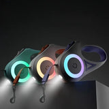 Hundeleine mit eingebautem LED-Licht