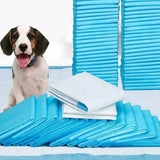 Housebreaking Training Pads