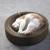 Zauberhaftes Spiel- und Kratzbett für Katzen