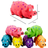 Quirky Quack Piglet - Dog Toy