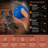 Intelligenter, interaktiver, umweltfreundlicher und bissfester automatischer Hundeball