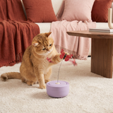 Interaktives Schmetterlings-Spielzeug für Katzen mit Spinner-Funktion