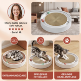 Interaktives Kratzbrett für Katzen mit Rollbällen und Relaxzone