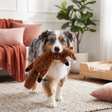 Robustes, geräuschloses Knister- und Quietschspielzeug für Hunde