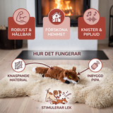 Robustes, geräuschloses Knister- und Quietschspielzeug für Hunde