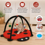 Zusammenklappbares Katzen-Spielzelt mit hängenden Spielzeugen und Aktivitätsmatte