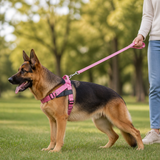 Personalisierbares, reflektierendes No-Pull-Hundegeschirr mit individuellem Namenspatch