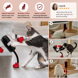 Robustes interaktives Katzen-Spielzeug mit Boxsack