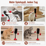 Robustes interaktives Katzen-Spielzeug mit Boxsack