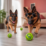 Interaktiver Quietscher-Wackelball für Hunde – Robustes Spielzeug für eigenständigen Spielspaß
