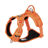 FlexiComfort Premium - Hundegeschirr