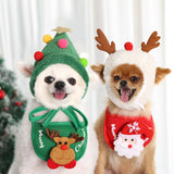 Festliche Hundekleidung für Weihnachten