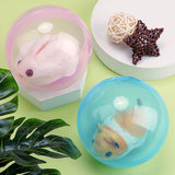 Rolly Hamster