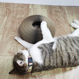 Kratzspielzeug mit Katzenball