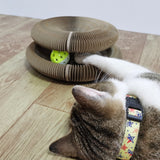 Kratzspielzeug mit Katzenball