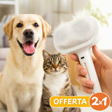 3-in-1 Dampfbürste PLUS - Sonderangebot 2 für 1 🎁