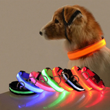 LED-Beleuchtetes Hundehalsband