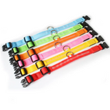 LED-Beleuchtetes Hundehalsband