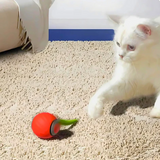 Spielball für Katzen mit Feder-Schwanz – Rollendes Vergnügen